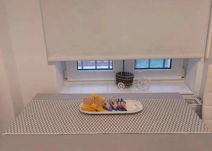 Paraiba ブカレスト